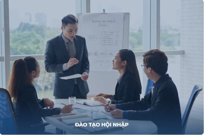 ĐÀO TẠO HỘI NHẬP